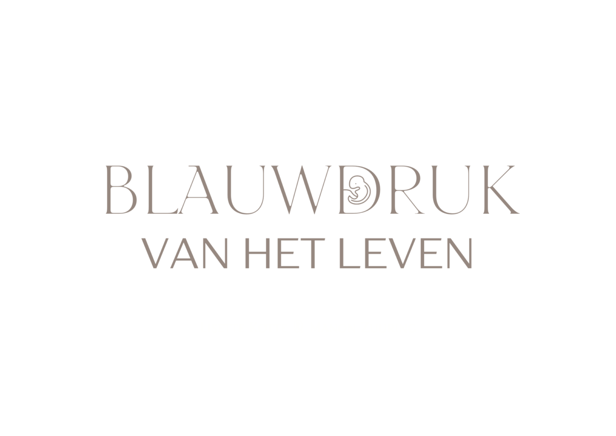 Blauwdruk van het leven - beige