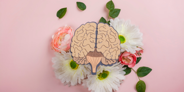De belangrijkste verschillen tussen NEI en EMDR