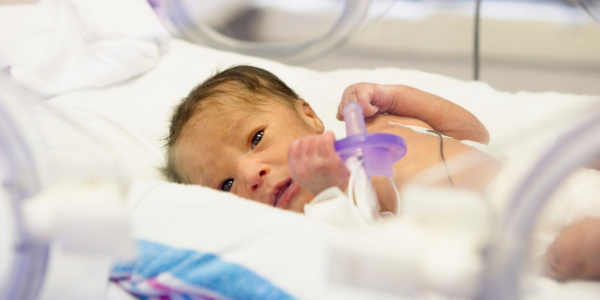 Van couveuse naar huilbaby: hoe een prematuur begin het zenuwstelsel beïnvloedt