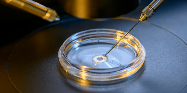 De reis van IVF/ICSI baby’s